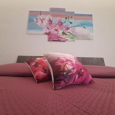 Grazia'S Home Sant'Agnello Zewnętrze zdjęcie