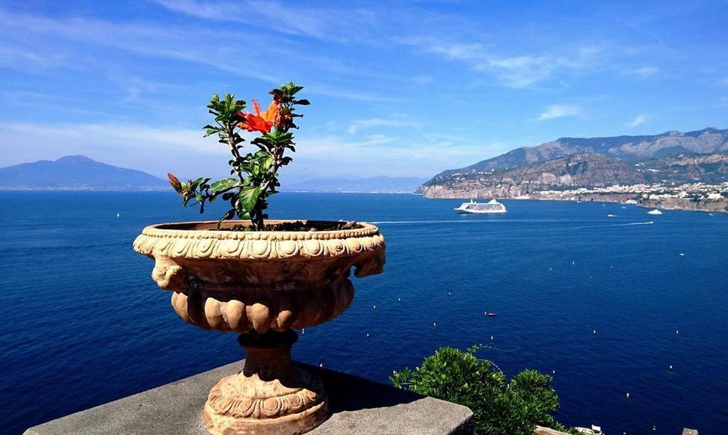 Grazia'S Home Sant'Agnello Zewnętrze zdjęcie